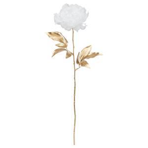 ASCA アスカ ピオニー (A-73455-001)【入数:12】