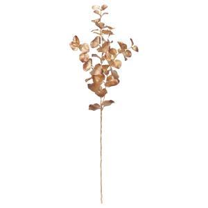 ASCA アスカ ユーカリスプレー (A-74684-040B)【入数:12】