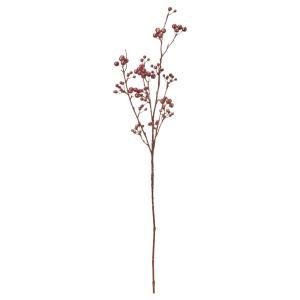 ASCA アスカ ベリースプレー (A-74688-015K)