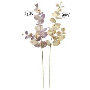 ASCA アスカ シャイニーユーカリスプレー (A-74694-007K)【入数:12】