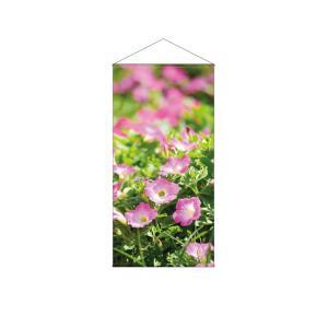 &nbsp;メーカー&nbsp;NOBORIYA のぼり屋&nbsp;商品カテゴリ&nbsp;POP・のぼり＞のぼり旗用品&nbsp;発送目安&nbsp;3日〜4日以内に発送予定（土日祝除）&nbsp;お支払方法&nbsp;銀行振込・クレジットカード&nbsp;送料&nbsp;送料無料&nbsp;特記事項&nbsp;&nbsp;その他&nbsp;