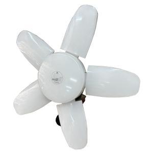 坂謙 矢田 LED電球付 クリップランプ 73W LED L2-73WST