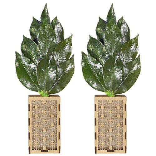 &nbsp;メーカー&nbsp;A&K&nbsp;商品カテゴリ&nbsp;ドライ・プリザーブドフラワー＞プリザーブドフラワー&nbsp;発送目安&nbsp;1〜2週間以内に発送予定&nbsp;お支払方法&nbsp;銀行振込・クレジットカード&nbsp;送料&nbsp;送料無料&nbsp;特記事項&nbsp;&nbsp;その他&nbsp;[その他ライフグッズ（趣味）】冠婚葬祭]神棚のお供えに