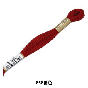 Embroidery Tools - LECIEN (ルシアン) COSMO(コスモ) 25番 刺しゅう糸 色番 (858) (25-6_858)【入数:5】