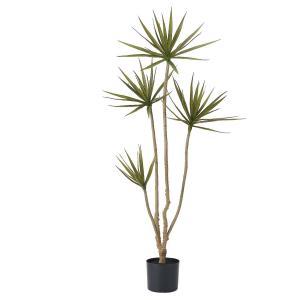 ASCA アスカ ドラセナ(ポット付)【造花観葉樹木】 (A-51138-051G)