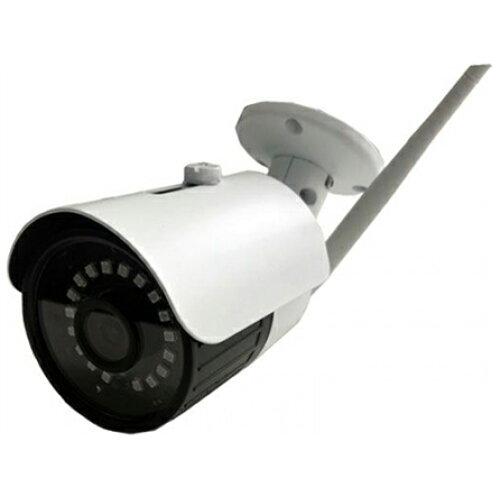 オースミ電機)バレット型防犯カメラ(SDカード録画/248万画素CMOS/防水IP66相当)MCB-200SD MCB-200SD