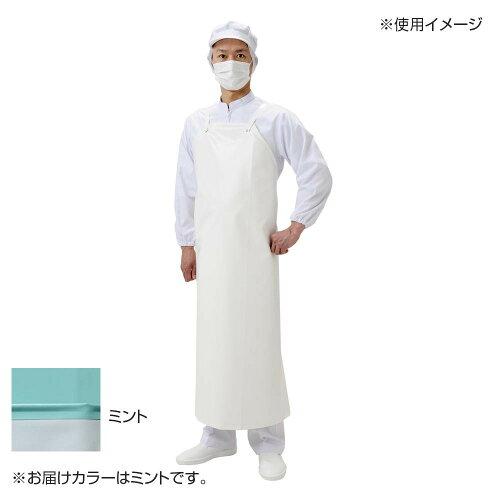 Sommelier Aprons - 弘進ゴム ネオフレッシュ前掛 100 ミント L G0477AR (1858801)