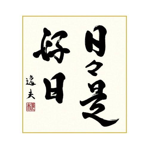 COMOLIFE コモライフ 色紙 中田逸夫 日々是好日 24.2×27.2cm K11-030 (2167318)
