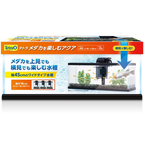 スペクトラムブランズジャパン テトラ メダカを楽しむアクア