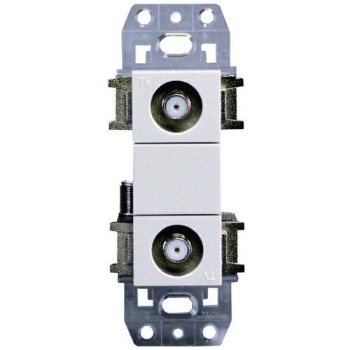 ���ܥ���ƥ� �����å��դ�2ü�ҷ�ľ���˥å�(ü����) WSUE77-RBE 2181662 (2081141)