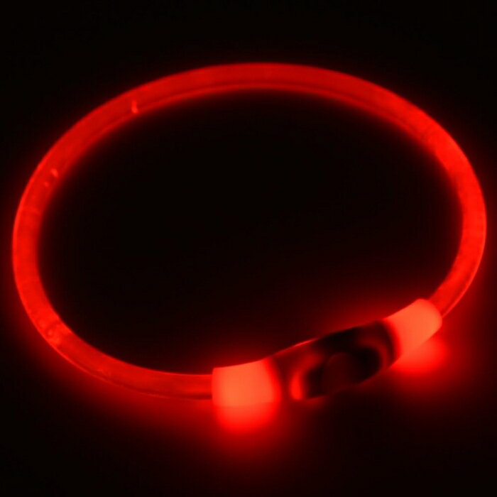 なごみ (ペット) GEWALK LED セーフティ フラッシング ネックリング レッド L LGE401 (2113207)