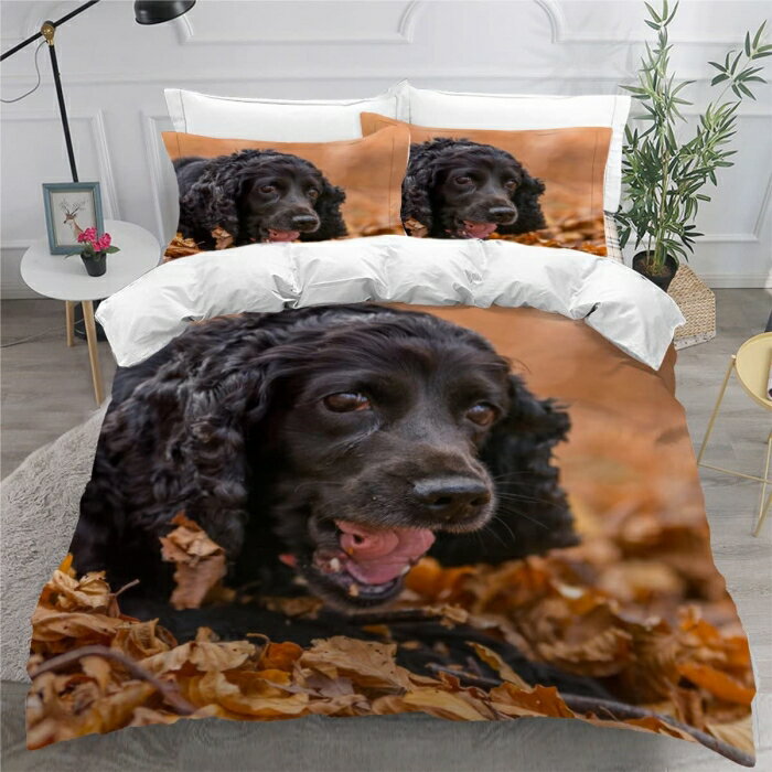 Rakuten - AZUMAYA 東谷 L4 モチモチボールクッション