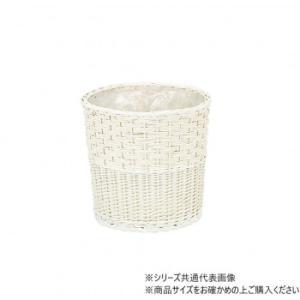 &nbsp;メーカー&nbsp;大橋新治商店&nbsp;商品カテゴリ&nbsp;インテリア＞ディスプレイ収納・花器&nbsp;発送目安&nbsp;1〜2週間以内に発送予定&nbsp;お支払方法&nbsp;銀行振込・クレジットカード&nbsp;送料&nbsp;送料無料&nbsp;特記事項&nbsp;&nbsp;その他&nbsp;[ガーデニング・DIY・防殺虫】ガーデニング・花・植物・DIY]シャービックに仕上げた