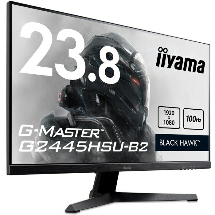 IIYAMA イイヤマ ワイド液晶ディスプレイ G-MASTER