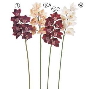 ASCA アスカ シンビジューム×7【プレミアムコレクション】 (AP03035-007)