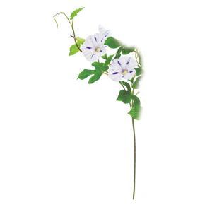 &nbsp;メーカー&nbsp;ASCA アスカ&nbsp;商品カテゴリ&nbsp;フラワー・観葉植物＞造花&nbsp;発送目安&nbsp;2日〜3日以内に発送予定（土日祝除）&nbsp;お支払方法&nbsp;銀行振込・クレジットカード&nbsp;送料&nbsp;送料無料&nbsp;特記事項&nbsp;&nbsp;その他&nbsp;