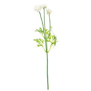 Bouquets - ASCA アスカ ラナンキュラス×3 (A-35411-001)【入数:24】