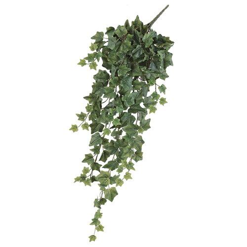 樂天商城 - ASCA アスカ イングリッシュアイビーバイン (A-42367-051A)【入数:6】