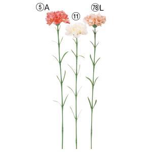 ASCA アスカ カーネーション (A-35369-005A)【入数:24】