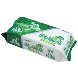 Potty, Diaperings - エースグローブ 小野商事 エース おしりふき 大人用 100枚入 厚手 レギュラーサイズ WS5110 (2255189)