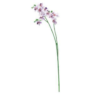 &nbsp;メーカー&nbsp;ASCA アスカ&nbsp;商品カテゴリ&nbsp;フラワー・観葉植物＞造花&nbsp;発送目安&nbsp;2日〜3日以内に発送予定（土日祝除）&nbsp;お支払方法&nbsp;銀行振込・クレジットカード&nbsp;送料&nbsp;送料 小型(80)&nbsp;特記事項&nbsp;&nbsp;その他&nbsp;