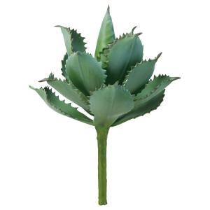 ASCA アスカ アガベ (A-44796-051A)