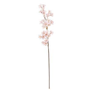 ASCA アスカ 桜X30 (A-35499-001P)【入数:12】