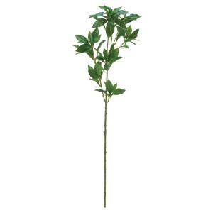 ASCA アスカ アセビ (A-44890-051A)