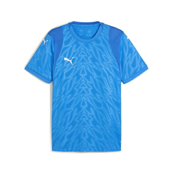 Other - PUMA プーマ TEAMCUP_ゲームシャツ (706793) [色 : ELECTRO_ROYA] [サイズ : M]