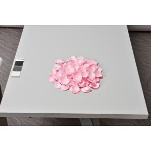 &nbsp;メーカー&nbsp;ASCA アスカ&nbsp;商品カテゴリ&nbsp;フラワー・観葉植物＞造花&nbsp;発送目安&nbsp;2日〜3日以内に発送予定（土日祝除）&nbsp;お支払方法&nbsp;銀行振込・クレジットカード&nbsp;送料&nbsp;送料無料&nbsp;特記事項&nbsp;&nbsp;その他&nbsp;
