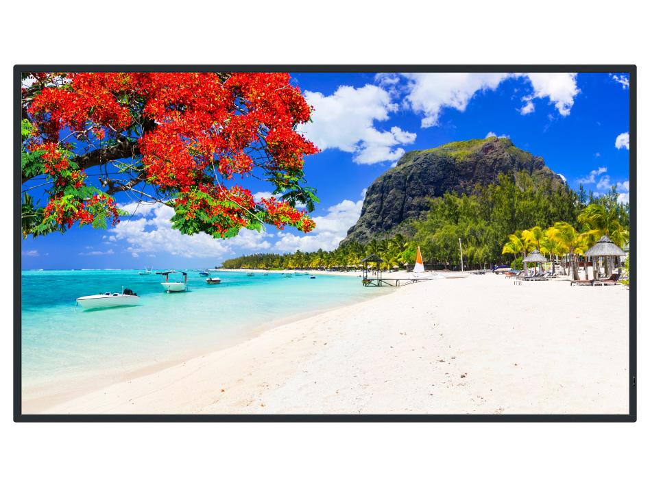 PANASONIC パナソニック 55V型4Kスタンダード液晶ディスプレイ(TH-55SQ2HJ)