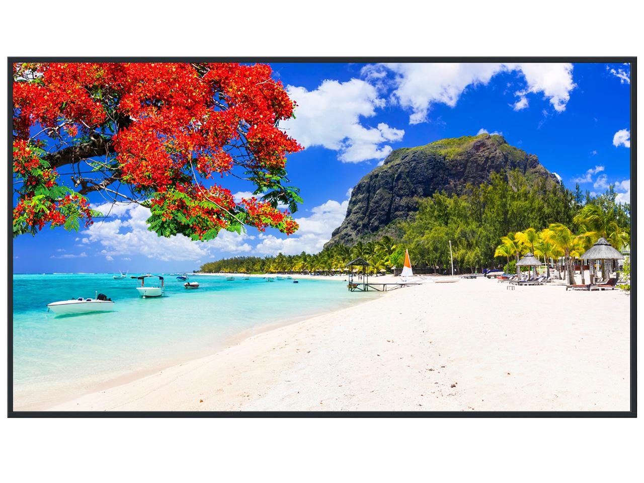 PANASONIC パナソニック TH-65SQ2HJ 65V型4Kスタンダード液晶ディスプレイ(TH-65SQ2HJ)