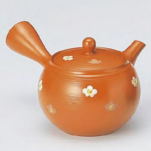 &nbsp;メーカー&nbsp;ヤマキイカイ&nbsp;商品カテゴリ&nbsp;コーヒー・ティー用品＞日本茶・茶道道具&nbsp;発送目安&nbsp;1〜2週間以内に発送予定&nbsp;お支払方法&nbsp;銀行振込・クレジットカード&nbsp;送料&nbsp;送料無料&nbsp;特記事項&nbsp;&nbsp;その他&nbsp;[家事用品】調理用品]おすすめ