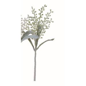 ASCA アスカ ベリースプレー (A-48037-052B)【入数:24】