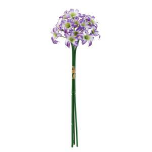&nbsp;メーカー&nbsp;ASCA アスカ&nbsp;商品カテゴリ&nbsp;フラワー・観葉植物＞造花&nbsp;発送目安&nbsp;2日〜3日以内に発送予定（土日祝除）&nbsp;お支払方法&nbsp;銀行振込・クレジットカード&nbsp;送料&nbsp;送料無料&nbsp;特記事項&nbsp;&nbsp;その他&nbsp;