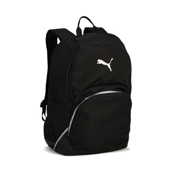 PUMA プーマ TEAMFINAL_バックパック_II (091600) 