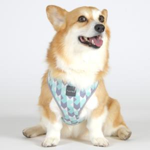 &nbsp;メーカー&nbsp;ハヤブサ(Hayabusa)&nbsp;商品カテゴリ&nbsp;犬用首輪・ハーネス・リード＞ハーネス&nbsp;発送目安&nbsp;1〜2週間以内に発送予定&nbsp;お支払方法&nbsp;銀行振込・クレジットカード&nbsp;送料&nbsp;送料無料&nbsp;特記事項&nbsp;&nbsp;その他&nbsp;