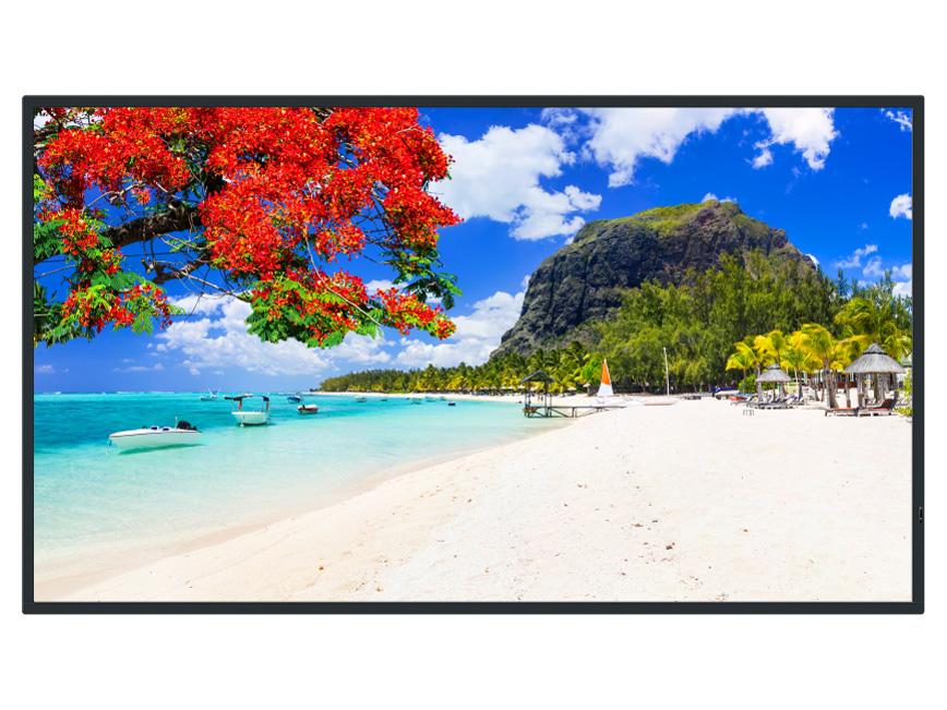 PANASONIC パナソニック 50V型4Kスタンダード液晶ディスプレイ(TH-50SQ2HJ)