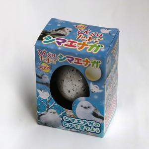 ファースト・アロー(FIRST ARROW) おもちゃ びっくりたまご シマエナガ No.206-674 ケース販売 知育玩具 鳥 (No.206-674)【入数:12】