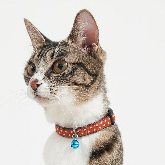 ペティオ (Petio) [ペティオ]CAT COLLAR ドット ブラウン (-)