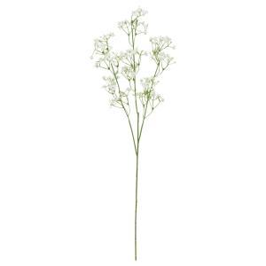 &nbsp;メーカー&nbsp;ASCA アスカ&nbsp;商品カテゴリ&nbsp;インテリア＞造花・人工植物&nbsp;発送目安&nbsp;2日〜3日以内に発送予定（土日祝除）&nbsp;お支払方法&nbsp;銀行振込・クレジットカード&nbsp;送料&nbsp;送料無料&nbsp;特記事項&nbsp;&nbsp;その他&nbsp;