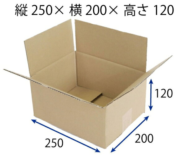 &nbsp;メーカー&nbsp;梱包資材&nbsp;商品カテゴリ&nbsp;梱包資材＞ダンボール&nbsp;発送目安&nbsp;翌日までに発送（休業日除く）&nbsp;お支払方法&nbsp;銀行振込・クレジットカード&nbsp;送料&nbsp;送料無料&nbsp;特記事項&nbsp;&nbsp;その他&nbsp;[---][新着][P41014][1429]
