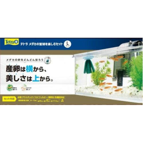 &nbsp;メーカー&nbsp;スペクトラムブランズジャパン&nbsp;商品カテゴリ&nbsp;水槽・アクアリウム＞飼育セット&nbsp;発送目安&nbsp;3日〜4日以内に発送予定（土日祝除）&nbsp;お支払方法&nbsp;銀行振込・クレジットカード&nbsp;送料&nbsp;送料無料&nbsp;特記事項&nbsp;&nbsp;その他&nbsp;
