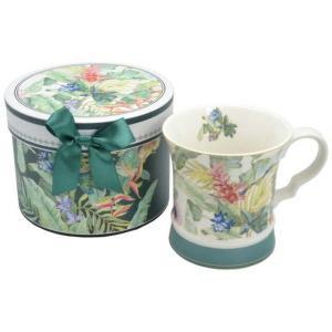 仁王インターナショナル ギフトBOX入りマグカップ 【ロイヤルアーデン】 (446-37639)【入数:60】