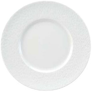 【まとめ買い10個セット品】アピルコ アクア プレート APAQ 245【APILCO【アピルコ】 洋食器 APILCO（アピルコ） 洋食器 業務用】【ECJ】 ecjungle-14269009 マルシェ&キッチンカーWORLD サンプル画像2