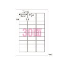 【まとめ買い10個セット品】 エーワン フィルムラベルシール 28973 10枚【ECJ】