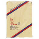 【まとめ買い10個セット品】 寿堂 クラフト封筒 00933 100枚【ECJ】