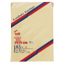 寿堂 クラフト封筒 00953 100枚【ECJ】