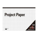 【まとめ買い10個セット品】 オキナ プロジェクトペーパー PPA35S 1冊【ECJ】