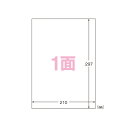 【まとめ買い10個セット品】 エーワン 屋外でも使えるサインラベルシール 32001 ホワイト 10枚【ECJ】
